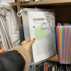 반투명 디자인 지퍼백 파일첩 A4, 1