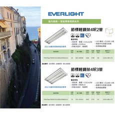 億光 輕鋼架燈 4尺2管 24W 4尺3管 36W CNS 節標認證, 詳見包裝, 詳見包裝, 節標 2管 24w