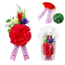 카네이션 브로치 조화 연휴 공휴일 퀵가능 한송이 비누꽃 어버이날 스승의날 단체 서울경기/지방~퀵(착불), 벌룬 투명 케이스 카네이션, 1개
