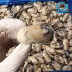 바다더해 냉동굴 1KG 국 전 튀김 요리 깐굴 급속냉동 통영 냉굴, 1개