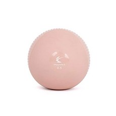 근력운동 밸런스볼 소프트토닝볼 0.5kg 2개세트 소도구운동 필라테스할때사용 재활, 1개, 샌디 로즈