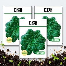 다채 씨앗 종자 2000립, 3개