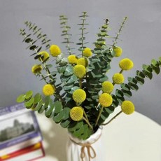 台灣出貨 裝飾 幹花束 花束尤加利葉黃金球搭配干插水養自然風干做干花花束裝飾除異味永生花, 黃金球18支+尤加利葉18支