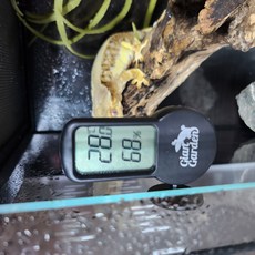 렙티언즈 파충류 온습도계 부착식 블랙 REPTIONS, 단품, 1개