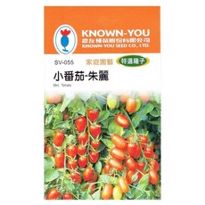 KNOWN-YOU 小番茄-朱麗 種子 家庭園藝 特選品種，陽台盆栽首選，體驗栽種樂趣, 1個