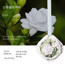 자동차 옷장용 야생 가드니아 석고방향제 차량용 탈취제 실내방향제 추천 고급형, 65g 산야 호박