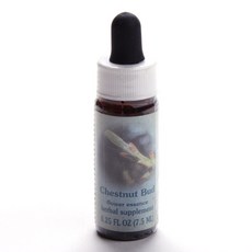 Flower Essence Services 栗苞花精草本滴劑, 1個, 7.5毫升