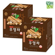 40티백 송원 우엉차 (무배/원플러스원), 1g