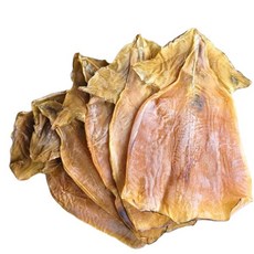 마른오징어 몸통 1kg 20미내외 오징어포 몸통 오징어, 1개
