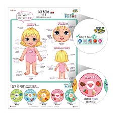 국내백화점 세이펜 나의몸 포스터 / 차트 한글포스터 세이포스터 학습벽보 돌 선물, 국내백화점 세이펜 나의몸 포스터 / 차트 한글포스터 세