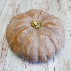 전남 강진 늙은호박 맷돌호박, 늙은호박 3kg이상 (3kg~3.9kg), 1개