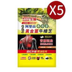 易而安 阿里山黃金薑牛樟芝遠紅外線精油貼布, 1個, 五入組