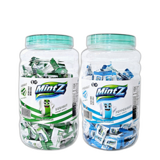 1+1 츄잉껌 MINT Z 민트지 듀오+페퍼, 880g, 1개