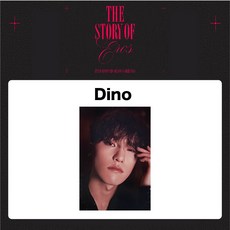 SEVENTEEN 2023 SEASON'S GREETINGS, Dino
