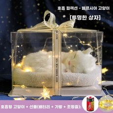 오아모먼트 팡쿠 숨쉬는고양이인형 귀여운 고양이 3종 장식 야옹이, 1개, D. 호흡스타일페르시아고양이 + 투명선물박스 너무 귀여