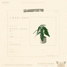 ABCHOME 奶油雲仿真植物 觀音蓮 圈圈瓶, 1個, 觀音蓮圈圈瓶,療癒系小盆栽如遇缺貨顏色隨機出貨