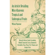 (영문도서) An Article Detailing Miscellaneous Tropical and Subtropical Fruits: Being the Durian Santol ... Paperback, Gebert Press, English, 9781446537725