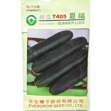 K87 夏福大黃瓜種子 7405 600粒 生長勢強 節間短 收成早 EVERGROW SEED CO. LTD., 1包