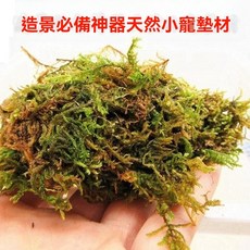 倉鼠籠造景乾苔蘚, 1個, 造景乾薹蘚50克