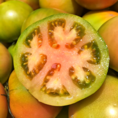 [산지직송] 부산정품 고당도 대저토마토 짭짤이 중소과 특품 2.5kg, 1박스, 못난이 실속과 2.5kg