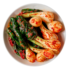 돌쇠네 별미김치 해풍맞은 신안 양파 줄기김치, 2kg, 1개