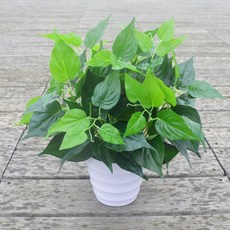 인조식물 조화화분 인테리어 소형 나무화분 실내장식 플랜테리어 거실식물 넝쿨식물 인조조경 가짜식물, 1개, 큰 화분 포토스 잎 두 묶음