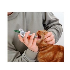 센스반려 동물 애견 묘 강아지 고양이 알약 시럽 디스펜서 편리 안전, 80ml