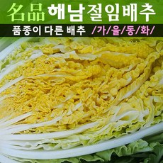 프리미엄품종 산지직송 해수절임배추 GAP인증 명품해남절임배추 20kg (11월6일부터 출하됩니다), 1개, 04-14(화)도착, 해남절임배추