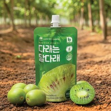 산들바람 다래는 달다래 강원 토종 다래 과채 음료, 10개, 100ml