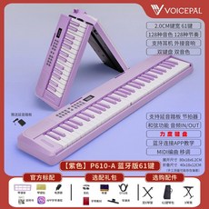 전자 오르간 피아노 풍금 수업용 성당 배낭 가방 건반, 1개, E. 보라색 P610-A 블루투스