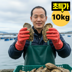 [3차 세척작업] 통영 석화 굴 당일조업, 1개, 석화 10kg