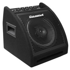 CARLSBRO 電子鼓音箱 10吋喇叭單體 30瓦全頻率, EDA30B