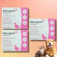인트라젠유산균 인트라젠 강아지종합영양제, 장건강/유산균, 3박스