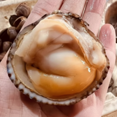 [미더운팜] 국산 새조개 (급냉) 200g 샤브샤브 국물맛 확 살아나는 한입에 오동통, 1박스