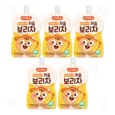 아이배냇 처음 보리차, 100ml, 5개