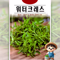 KS종묘 워터크레스 500립 물냉이 크레송 허브 꽃씨 씨앗 종자, 1개