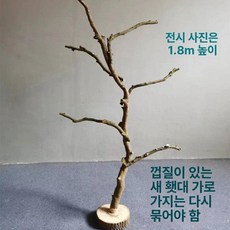 앵무새 놀이터 대형 횟대 새장 스탠드 장난감 펠렛 나무, 1개, 높이 90cm