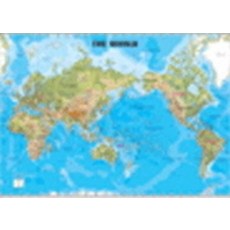 코원)세계지도(영문)(지세)