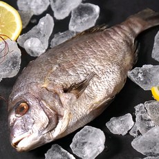 국내산 반건조 손질 참돔, 3개, 300g