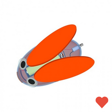 과학완구 움직이고 소리나는 매미 진동 로봇 만들기