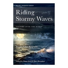 (영문도서) Riding Stormy Waves: Victory over the Maras Paperback, Bodhicharya Publications CIC, English, 9780957639874