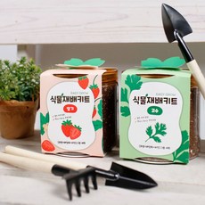방울토마토 딸기 허브 키우기 이지그로우 재배 세트, 08미니당근