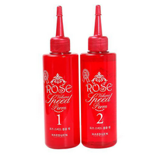 해든 로즈 스피드 볼륨 펌 1 2제, 10개, 170ml
