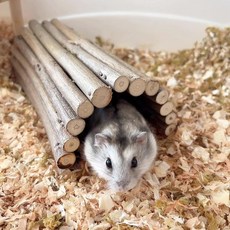 DEMONTALK 천연 나무 햄스터 마우스 터널 튜브 쥐 설치류를 위한 작은 동물 츄 장난감 148220, DEMONTALK 천연 나무 햄스터 마우스 터널 튜브,