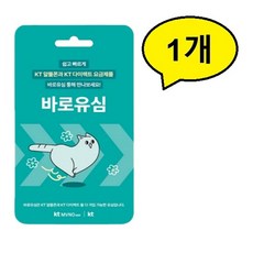 KT 바로유심(셀프개통) 1개