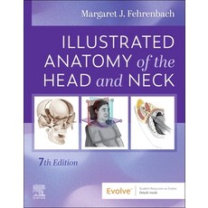 (영문도서)Illustrated Anatomy of the Head and Neck Paperback