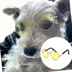 야외용품 강아지 고양이 패션 소품 눈 보호 애견 선글라스 강템, 1개