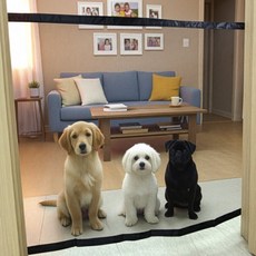 도도한데일리 애견 안전 가림막 반려동물울타리, 대