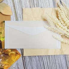 황산지 봉투 대 g9g+9670bv