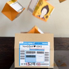 비밀의 택배박스 돈선물포장 어버이날용돈박스 용돈선물 현금상자, 돈체국